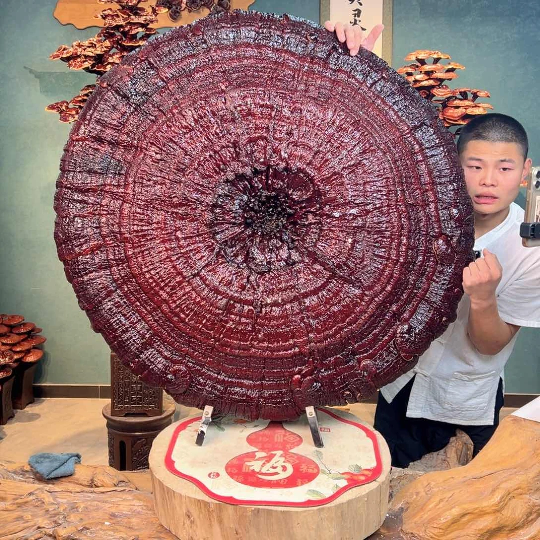 无花朵888888888888