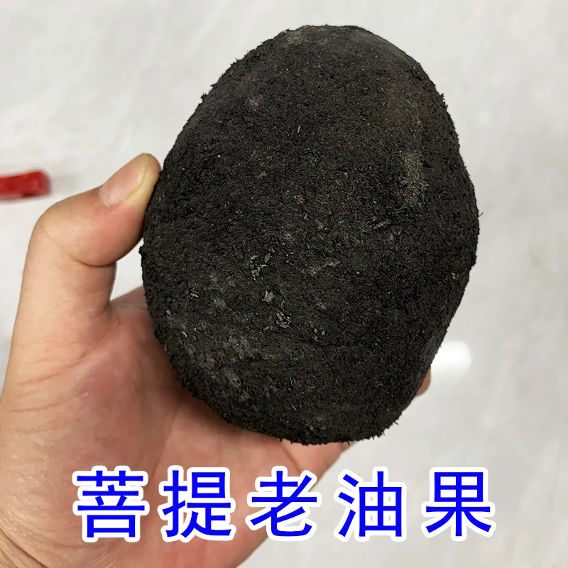 【特大果】风化菩提老油果