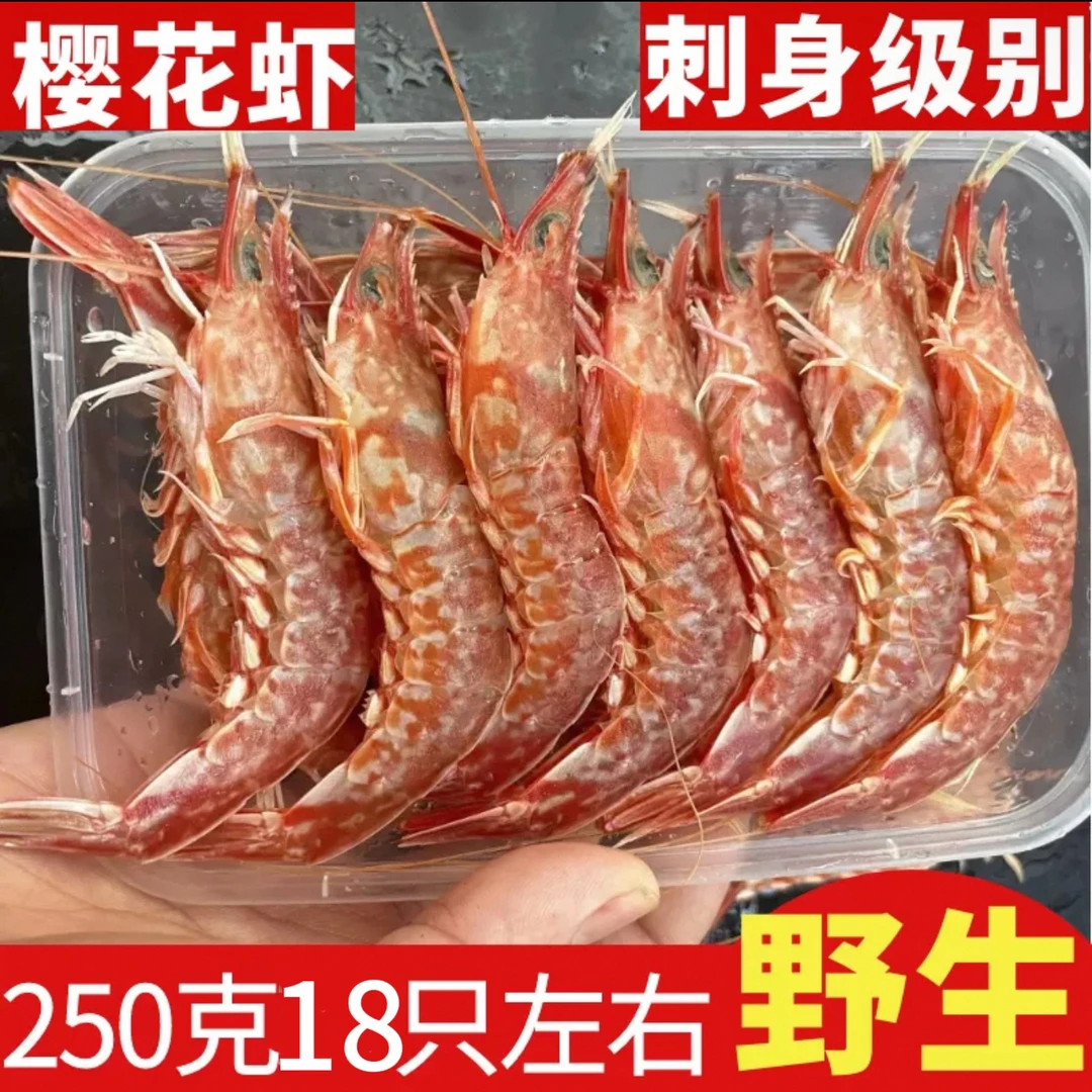 【顺丰包邮】福建海鲜野生樱花虾野生刺身生腌海鲜水产鲜活活冻品质