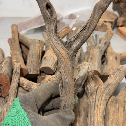 大果紫檀（缅甸花梨）N*