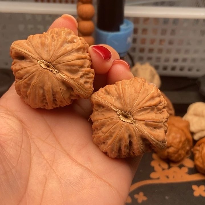 核桃╭****得43尺寸铁锤妹妹