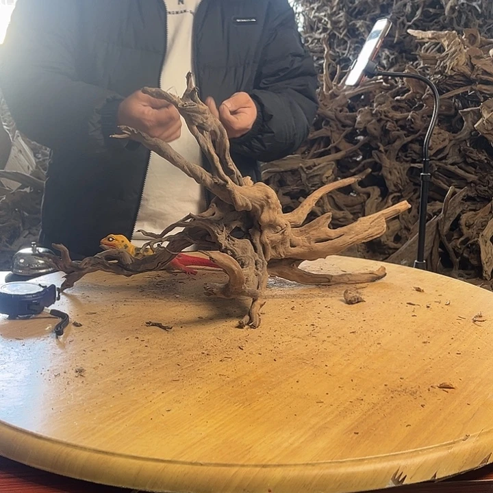 木603533鱼缸造景根雕摆件26