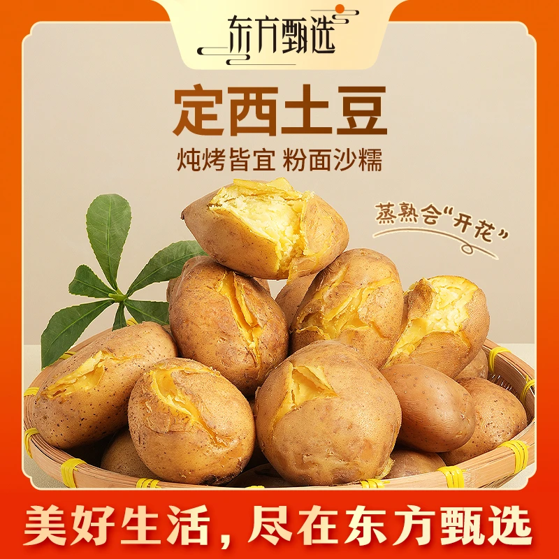 东方甄选自营定西土豆黄芯土豆沙糯粉面马铃薯饱满薯香坏蔬包赔
