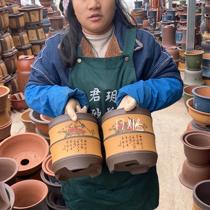 紫砂花盆盆栽花卉苗木种植