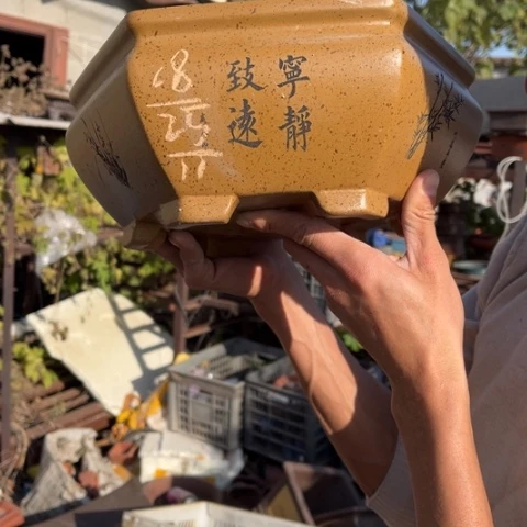 紫砂花盆特价包邮送盒