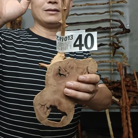 志***节香榧木高山 檬子木文玩料