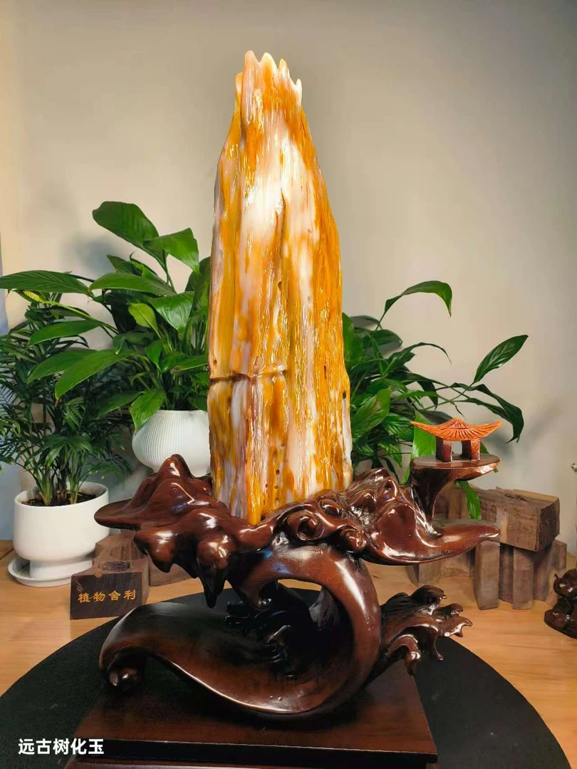 远古树化玉缅甸树化玉木化玉案台奇石收藏树化石摆件办公落地复古