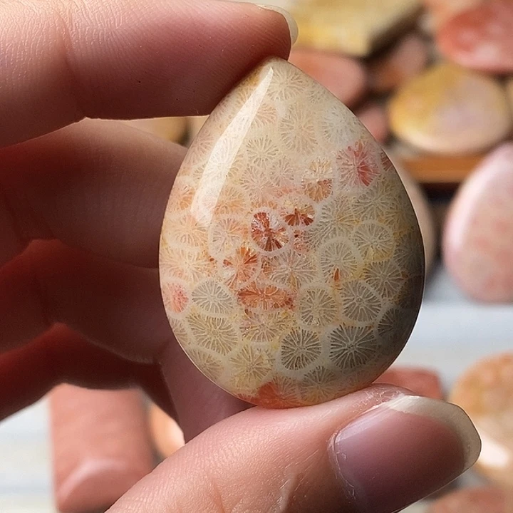 冒***家硅化珊瑚未镶嵌颈饰