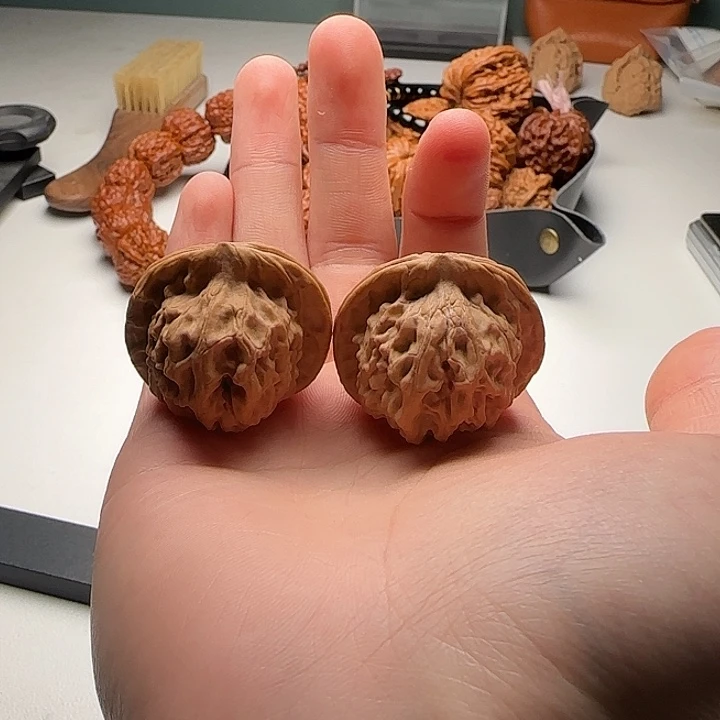 35-34-32一代天地C19号