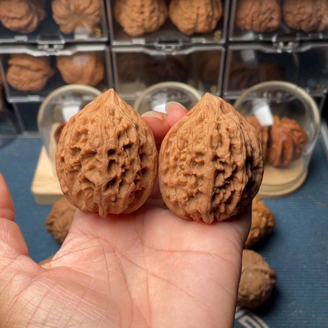 文玩核桃把件43+大沽石