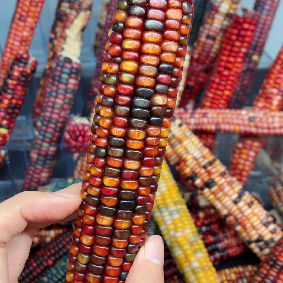 岁***i白玉菩提吊坠文玩精品文玩精品