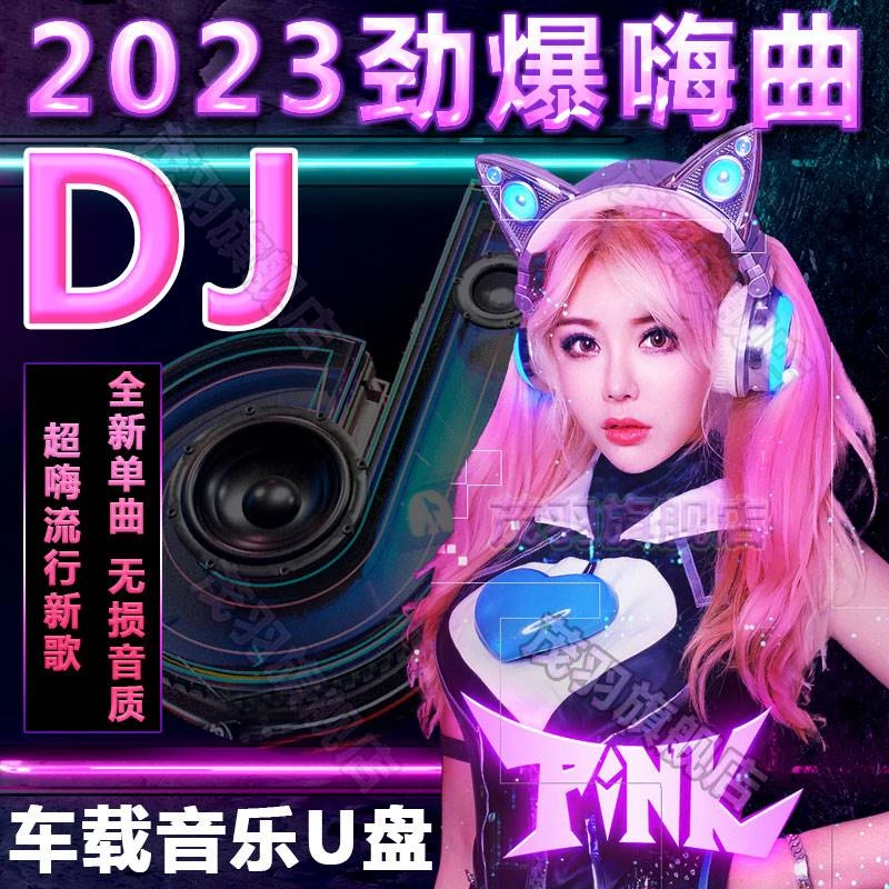 2024流行车用全视频夜店dj无损高品质歌曲劲爆嗨曲热舞mp3车载U盘