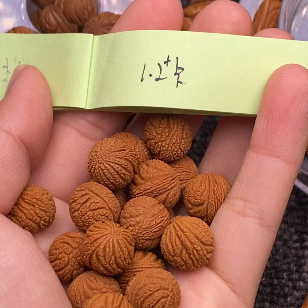 秦岭山脉龙纹桃核 20