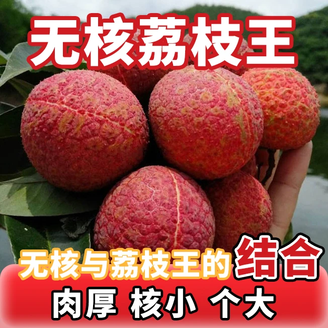 【无核荔枝王】无核新鲜荔枝王采摘现摘先发送礼顺丰冷链应季