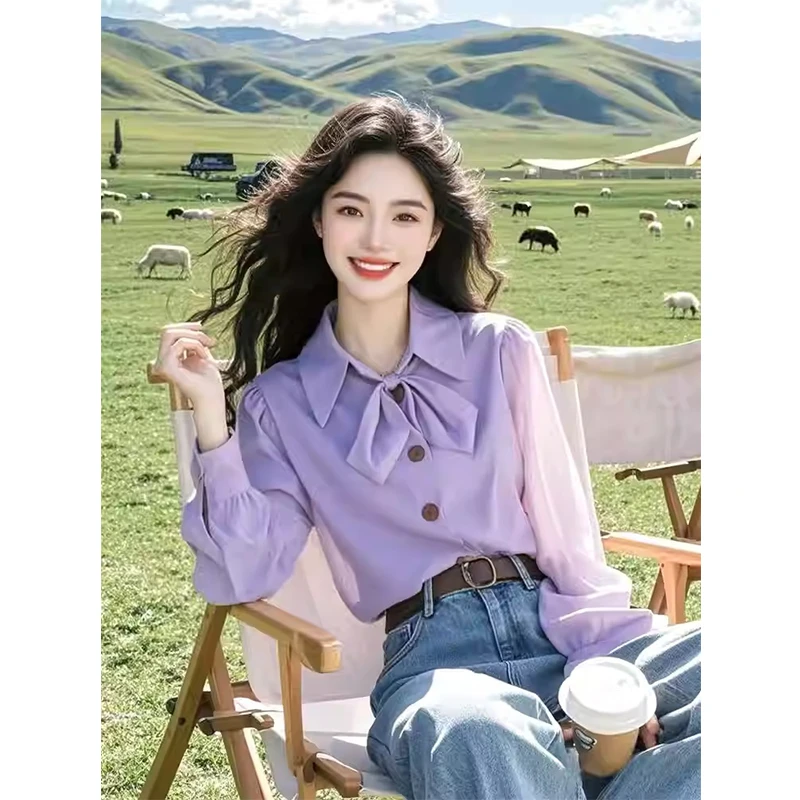 2025年春季新款时尚小衫超好看独特漂亮设计感减龄紫色长袖衬衫女