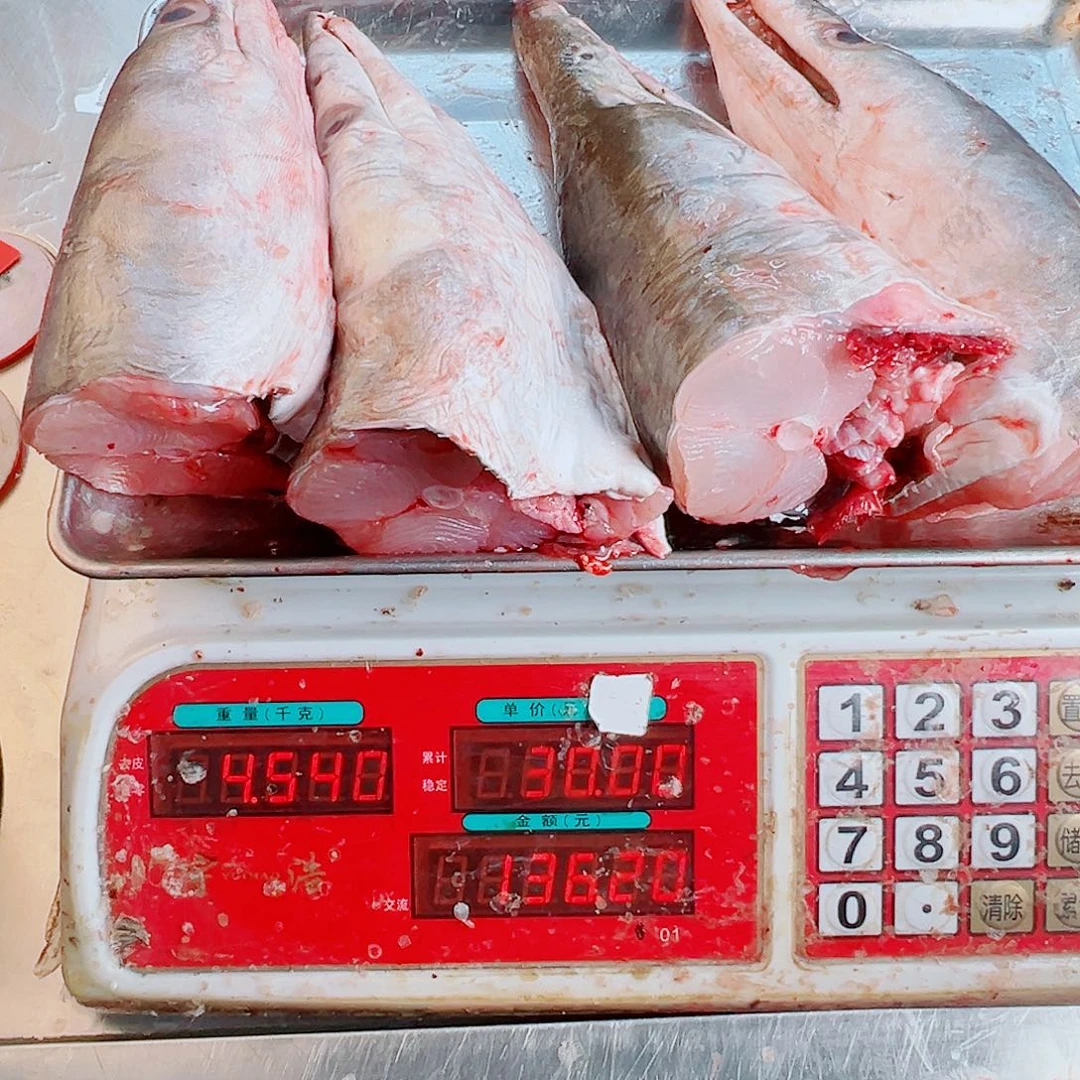 中国大陆四个鳗鱼U透