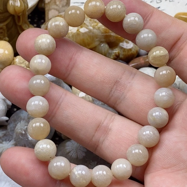 颈饰未镶嵌硅化珊瑚（珊瑚玉）