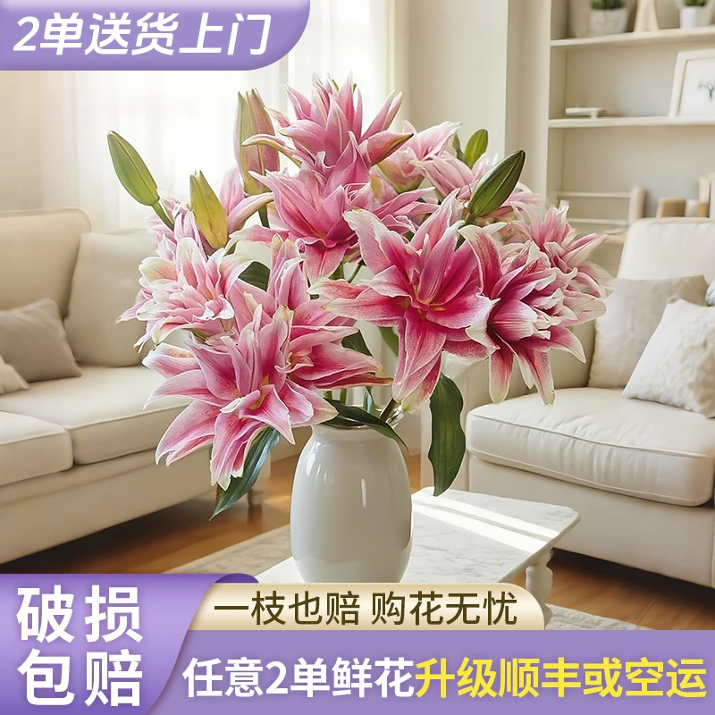 【源头优选】艾琳娜重瓣百合花云南直发鲜花家居水养插花鲜切花