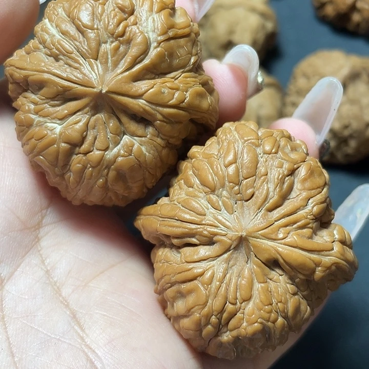 D***n             全品门墩45