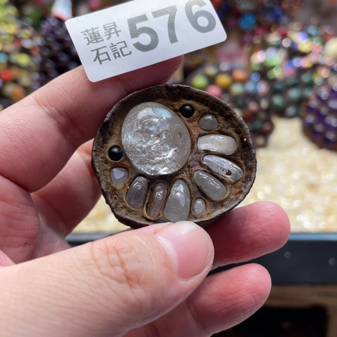 核桃木/黑胡桃（胡桃木）576