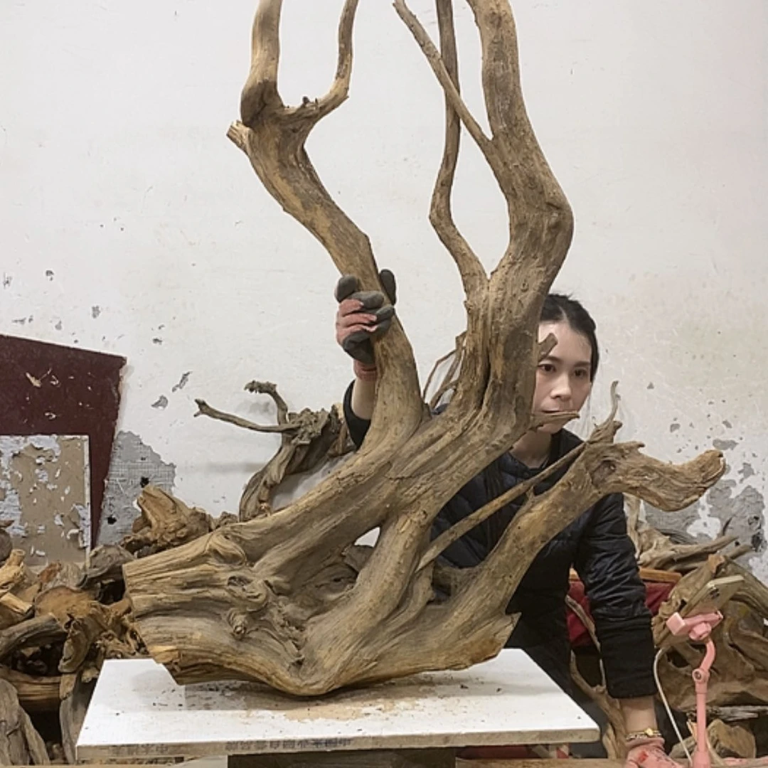 【闪购商品】柏木厚*厚我们都是好孩子