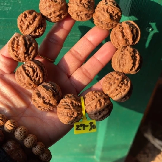 木质野生秋粗筋八棱