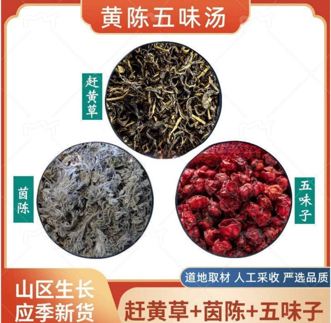 【黄陈五味汤】古蔺赶黄草辽宁五味子陕西绵茵陈可煮水泡水