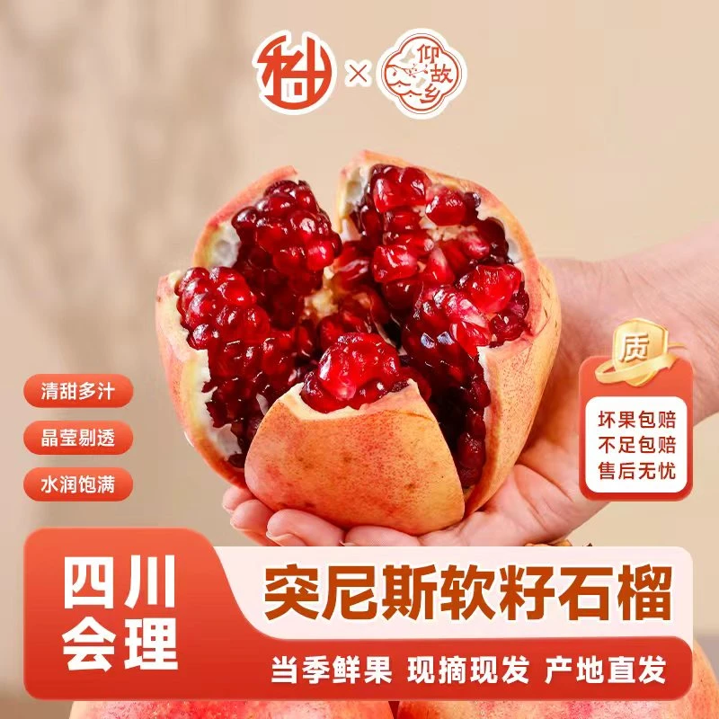 【仰故乡】四川会理突尼斯软籽石榴当季水果新鲜采摘鲜甜多汁A