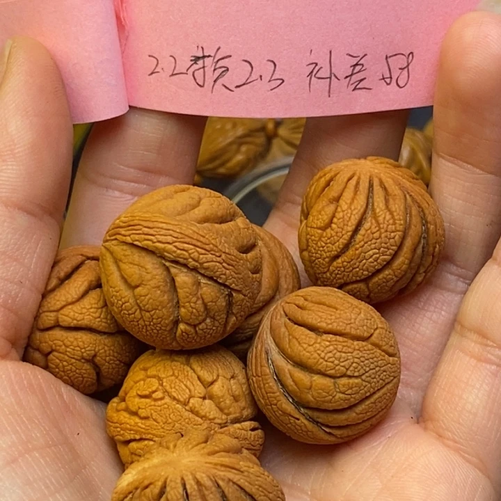 用***9桃核吊坠秦岭龙纹桃核23尺寸