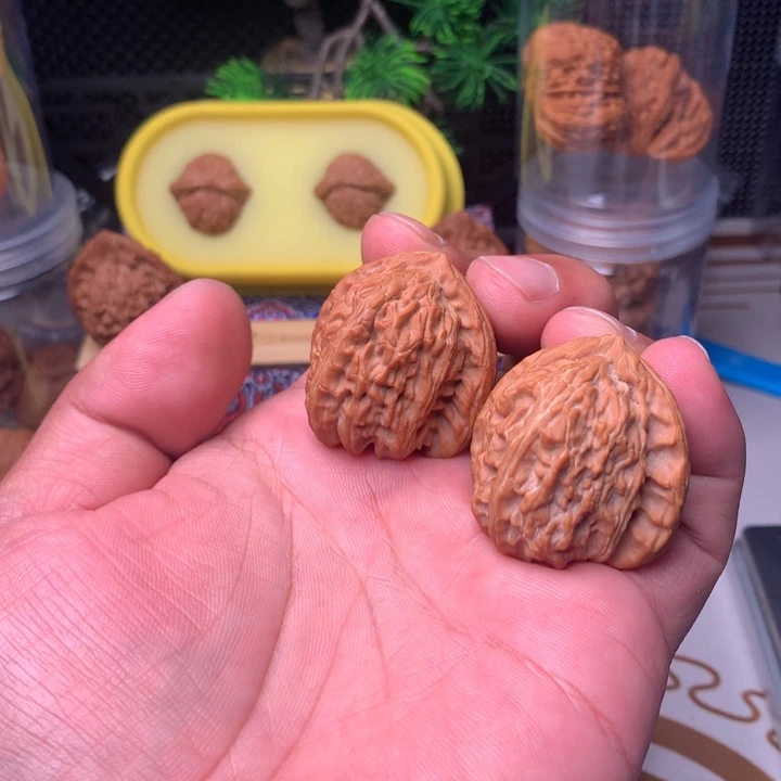 ￴***￴吊坠文玩核桃白狮子