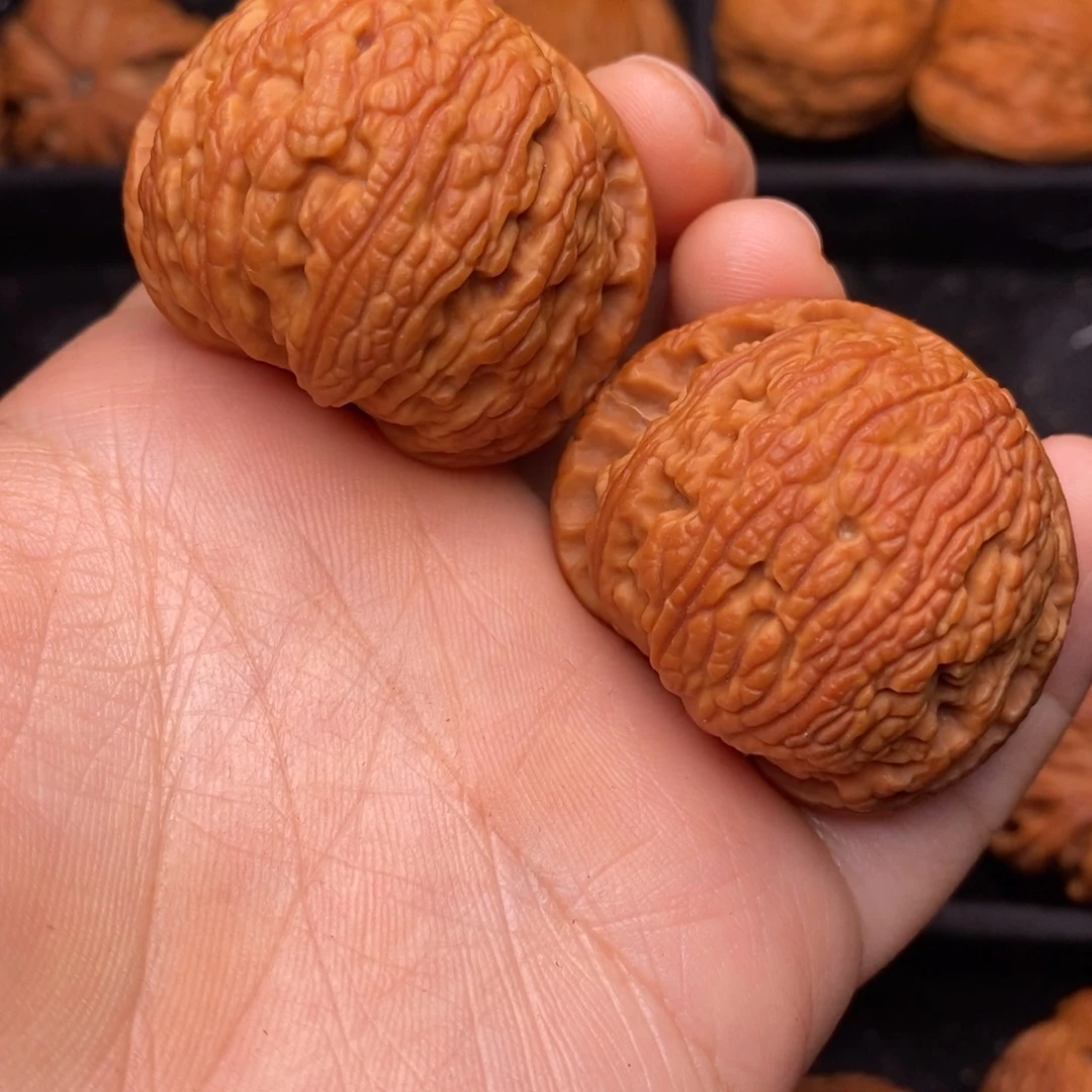 秦岭野生文玩核桃