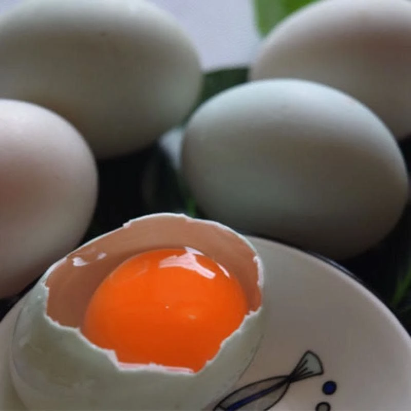 家乡正宗农家散养新鲜土鸭蛋罗山子路河里放养土鸭蛋（生）包邮