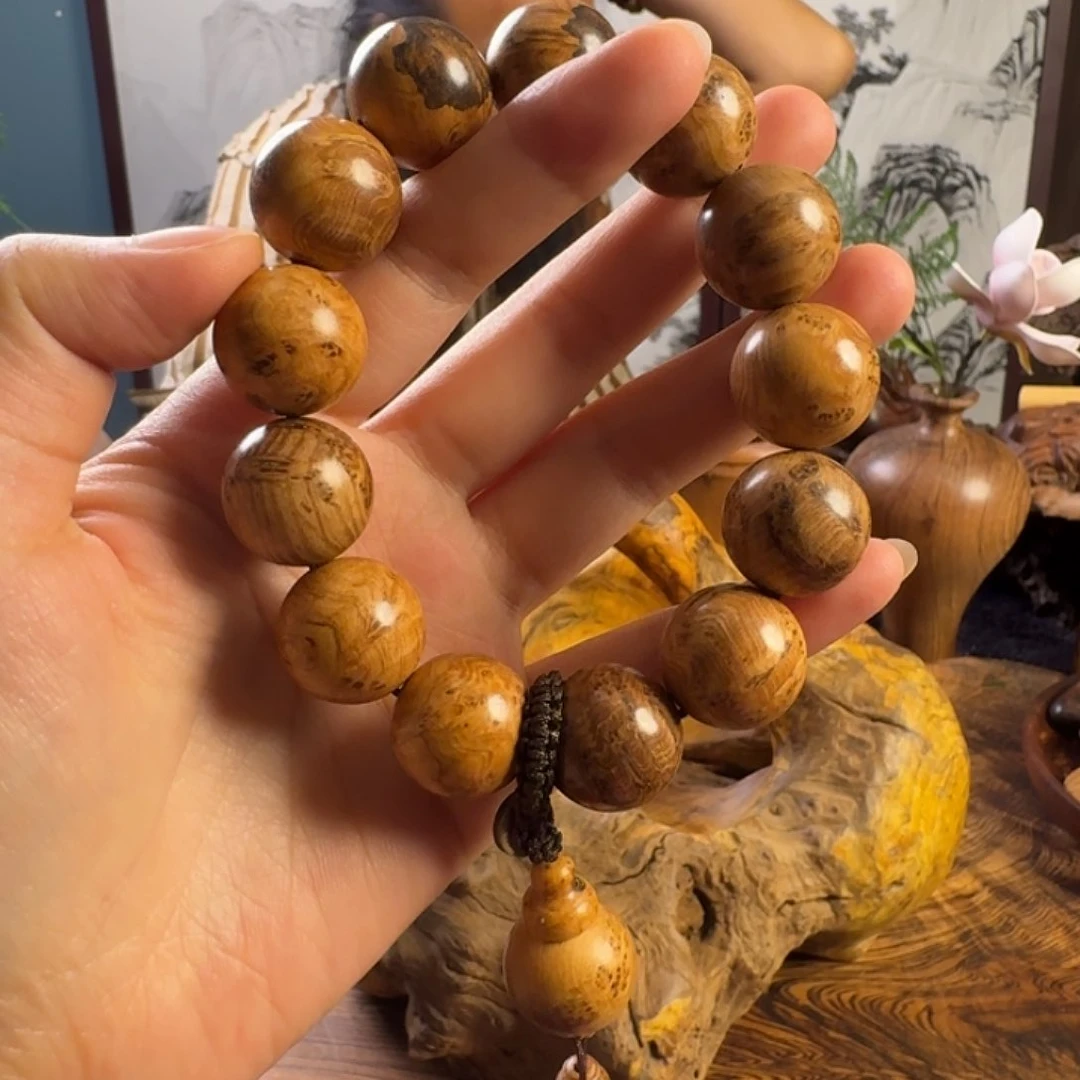 大***经小叶羊蹄甲清香木材