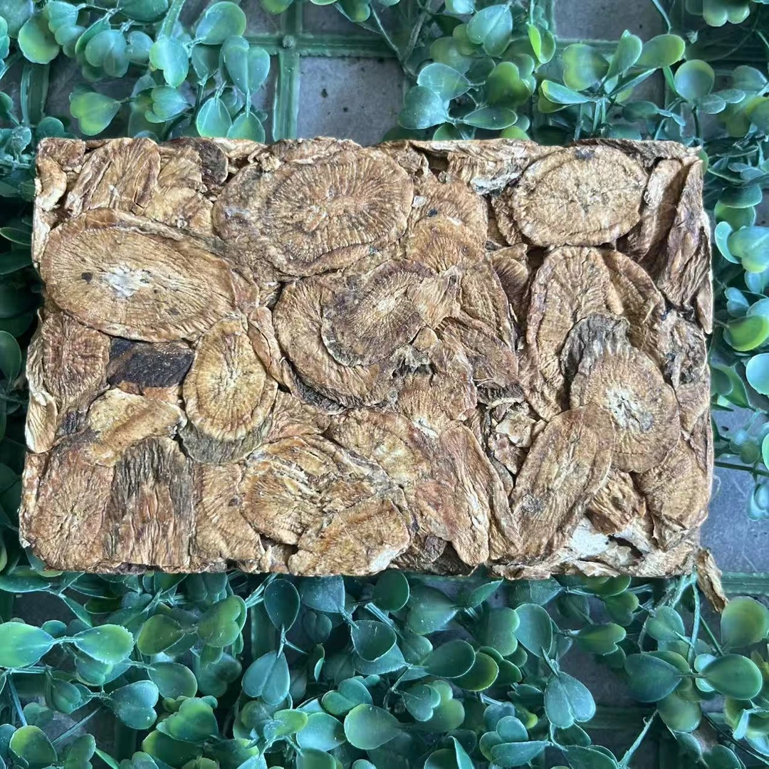 雨腾古茶 终J万N参“十Q大B 大圆M”长白山D种万X参B200g/砖（9月19）