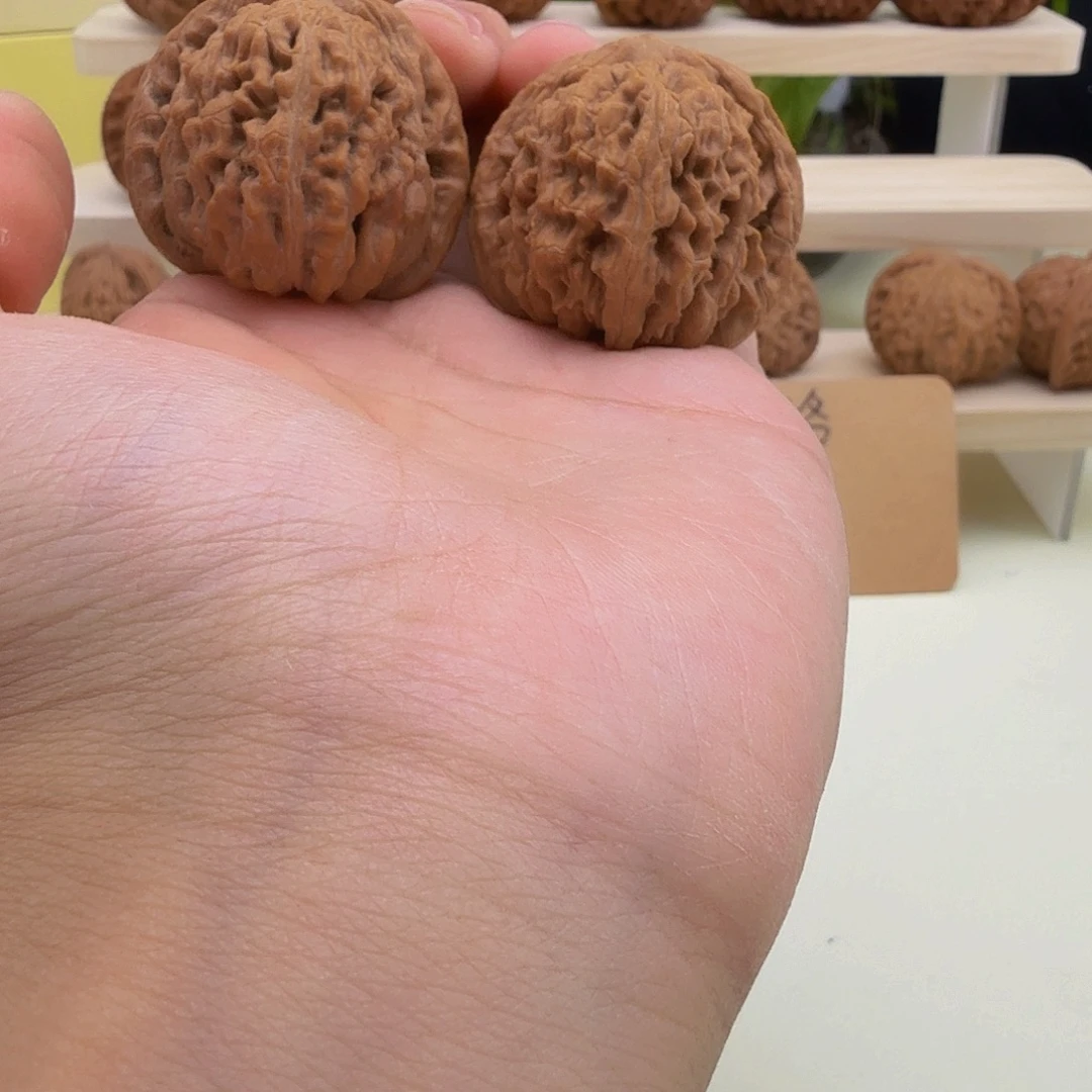 全品汗高山四座楼40尺左右