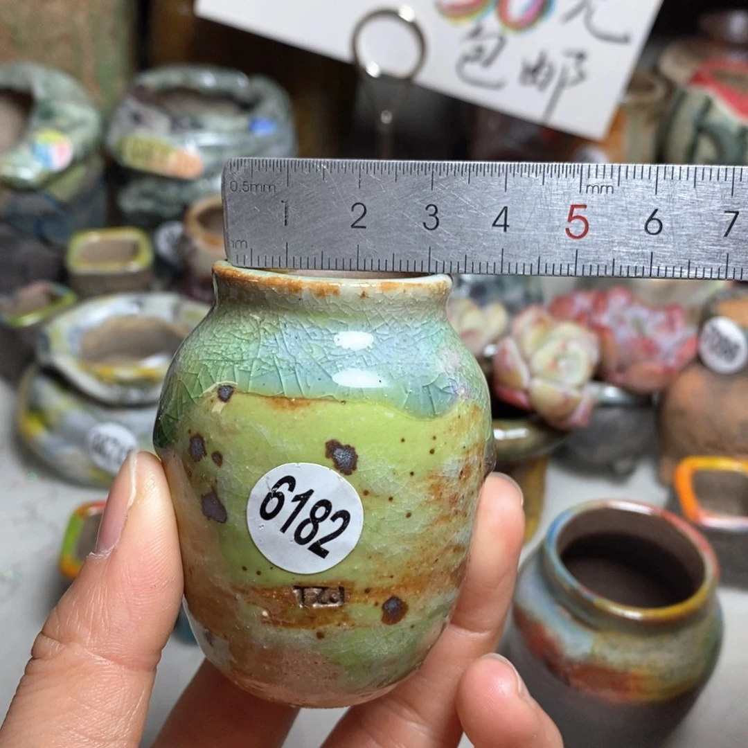 花盆拍5送一个小礼物