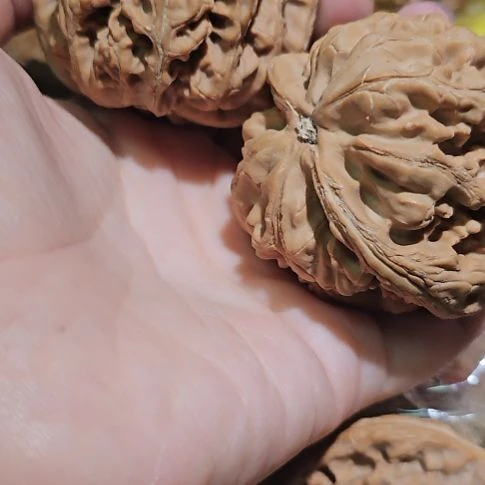 ****公文玩核桃吊坠49粗筋