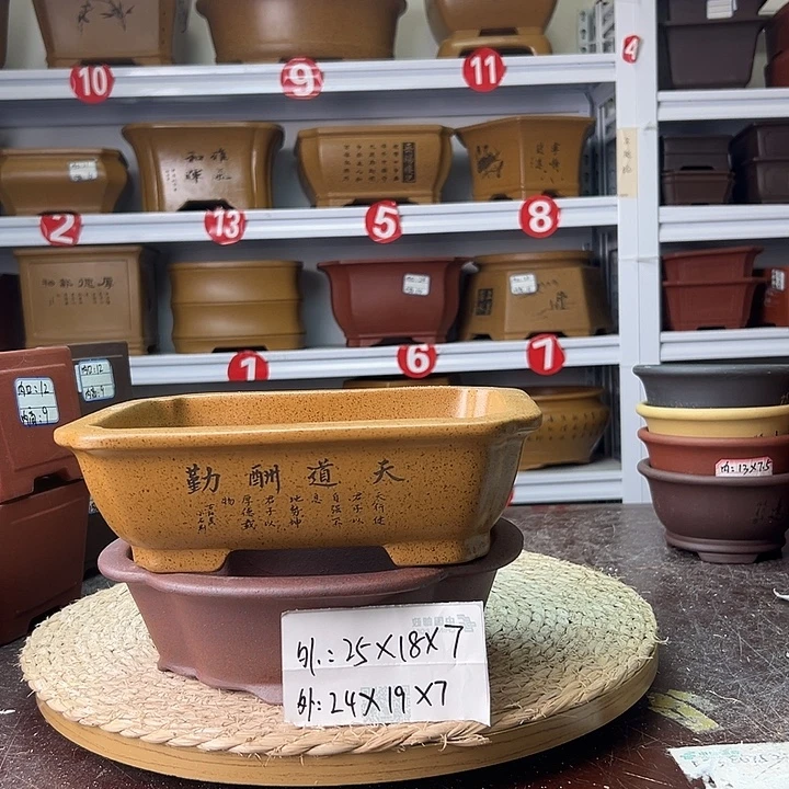 紫砂花盆蛇年大吉