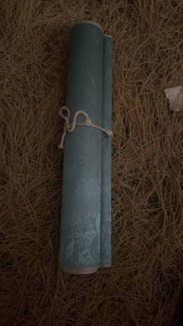 〖闪购链接〗莲花红妆手卷