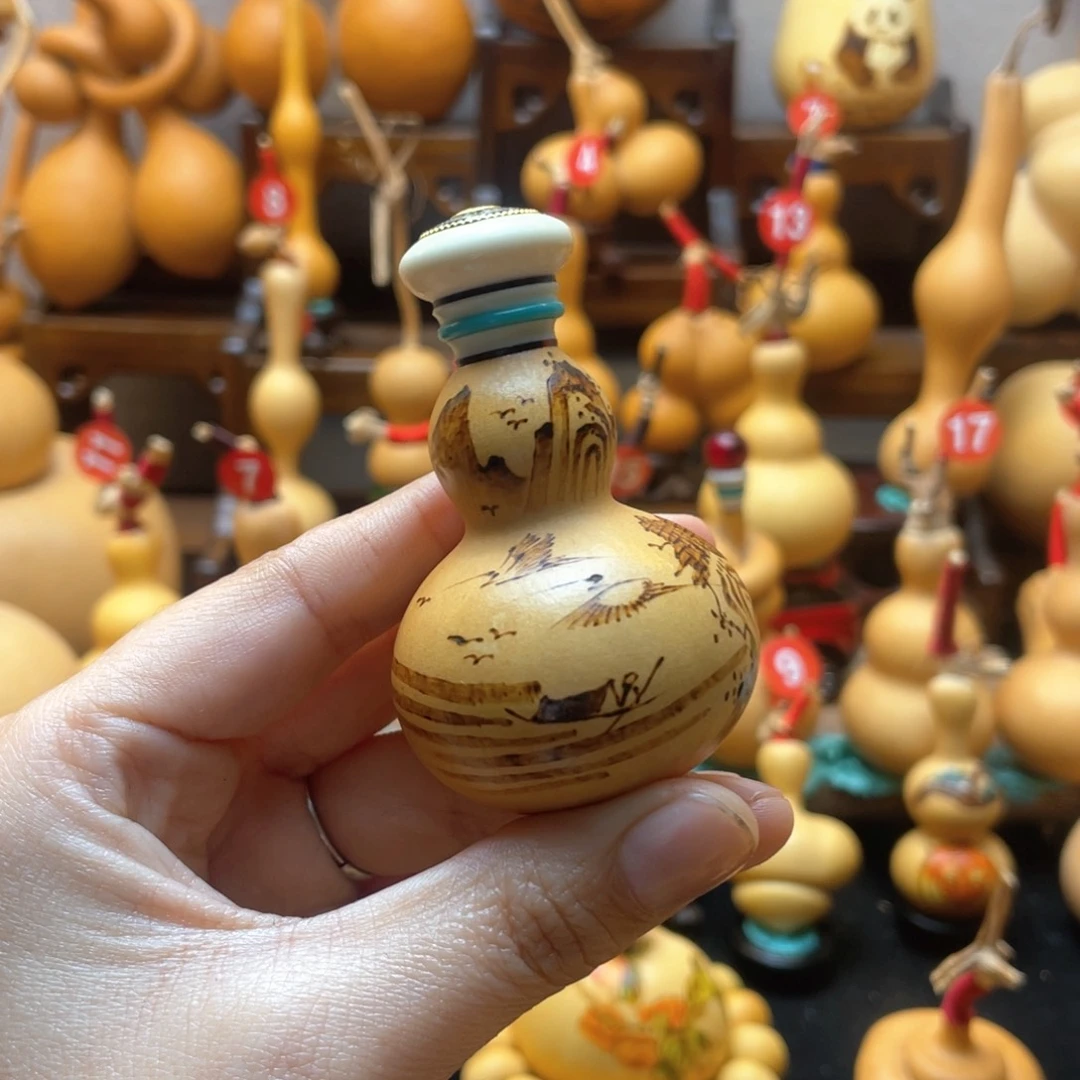 星*大自然的秘密第十一节你是