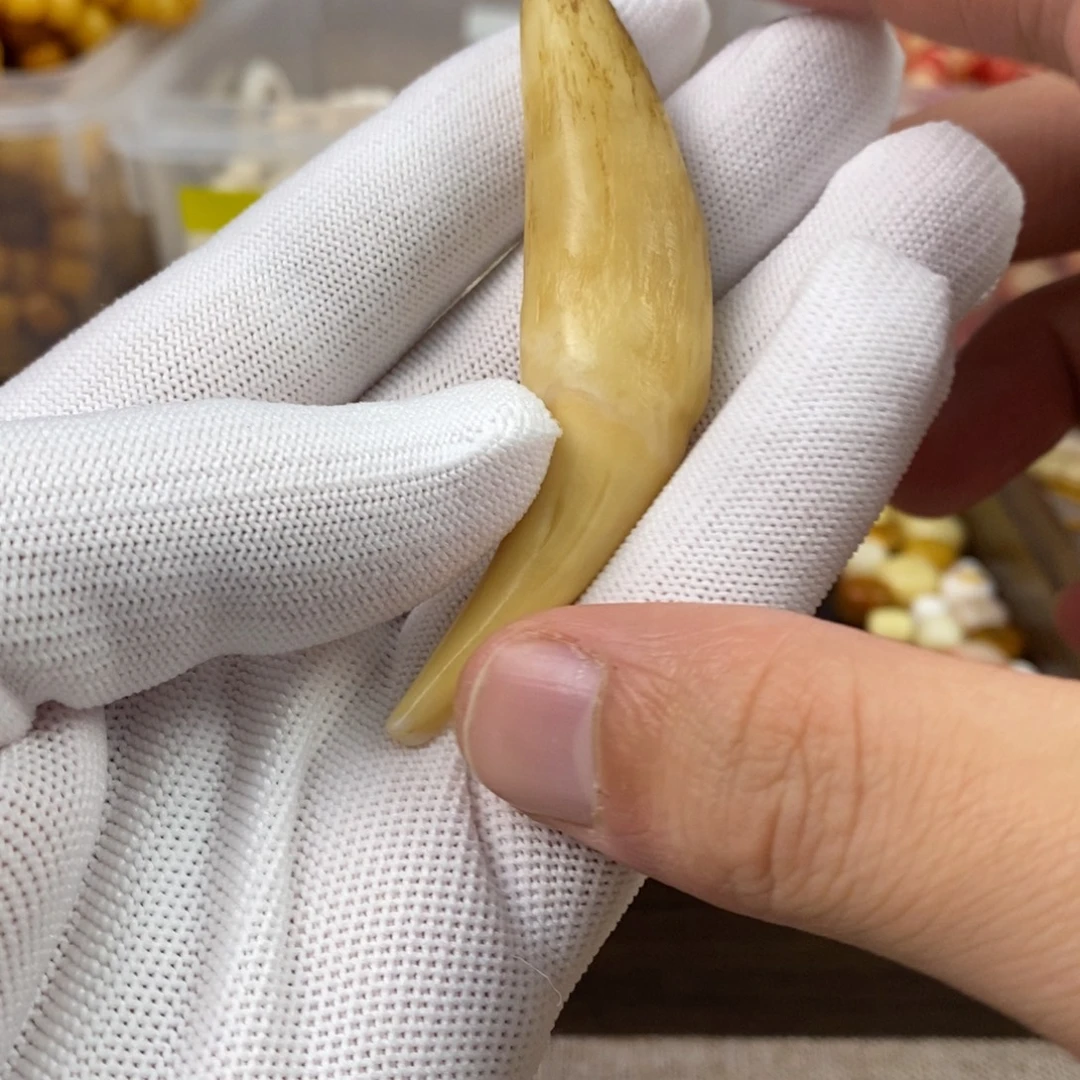 骆驼牙手串/手链手串