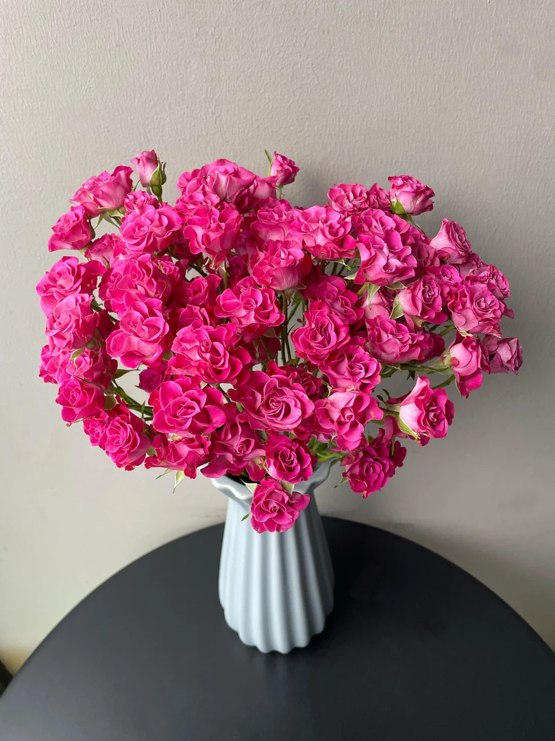 小头星海湾泡泡10支 多头玫瑰   批发花店摆地摊直发一手货源