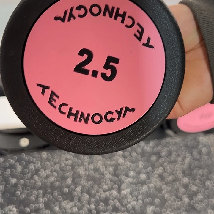 全新纯钢泰诺哑铃2.5公斤一对粉色