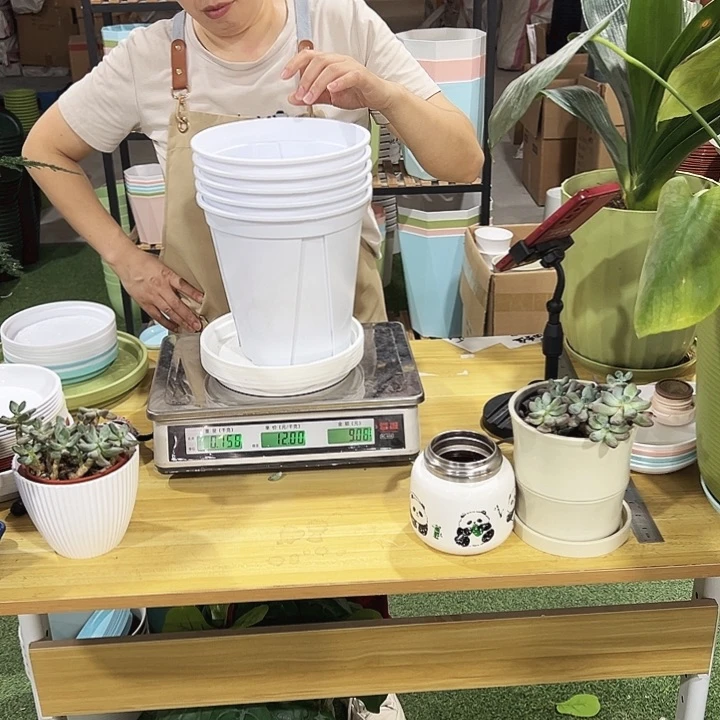 青山盆口21高21白色带托5只