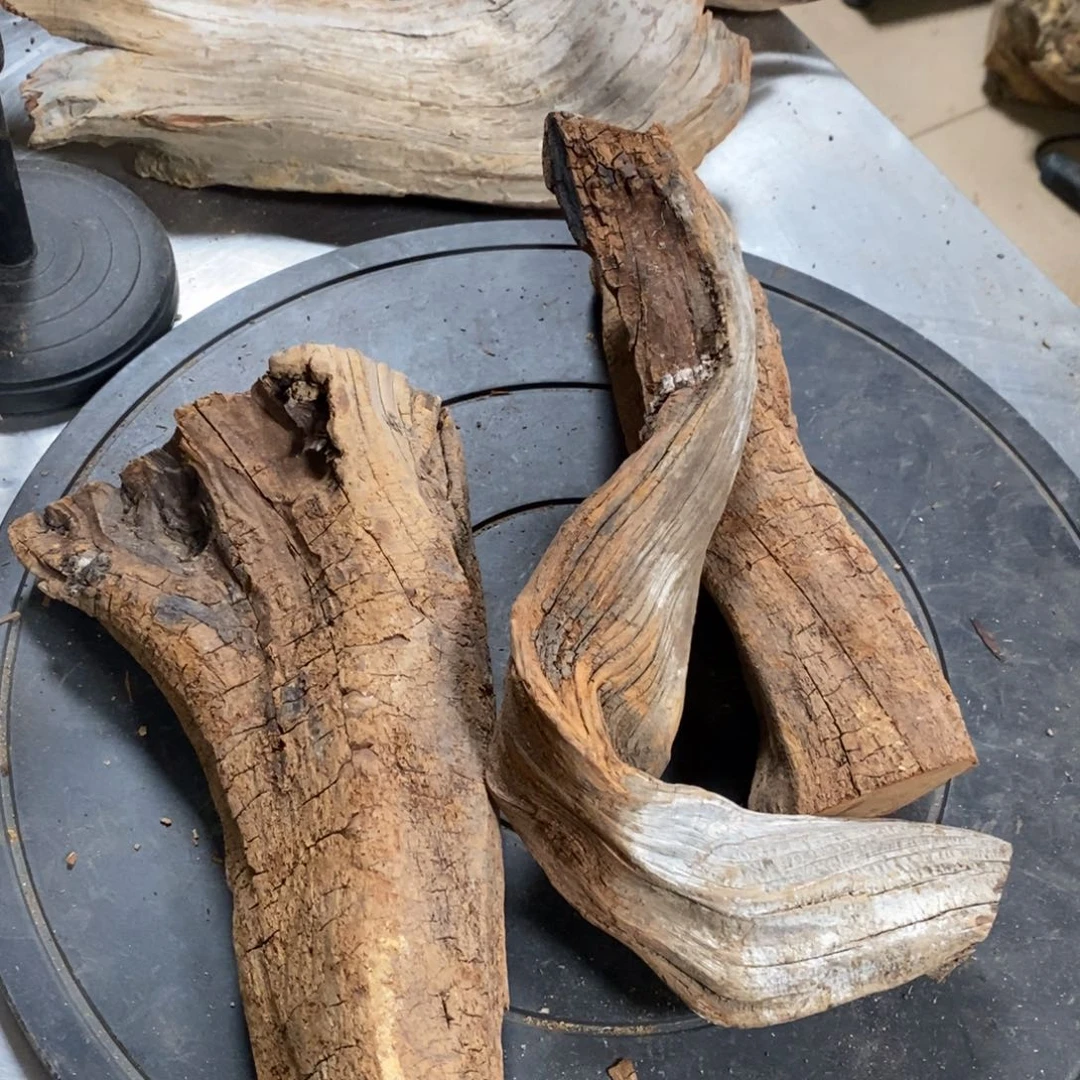 柏木（崖柏）用****1我们都是好孩子