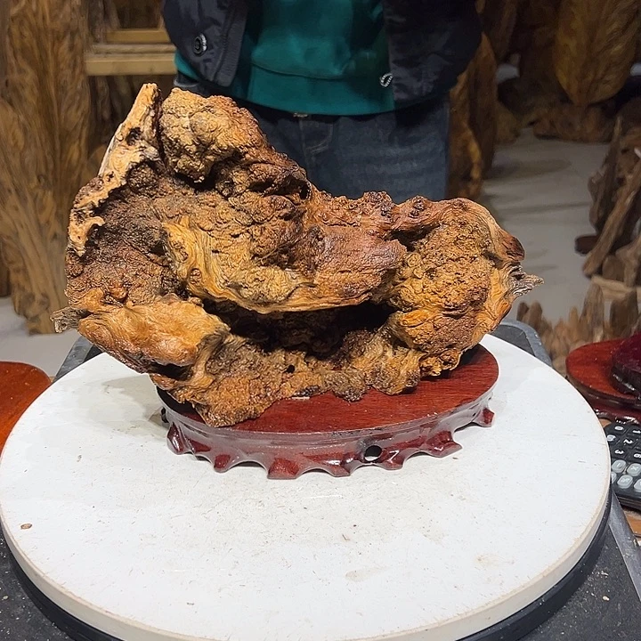 松木（琥珀木）堂**哥