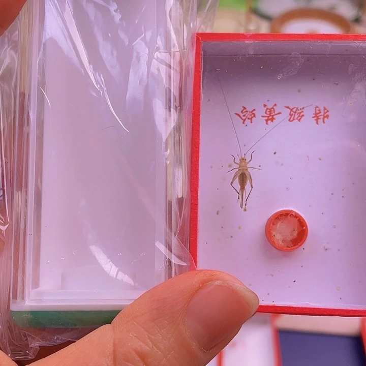 德***1盒+黄蛉啊啊啊啊啊啊