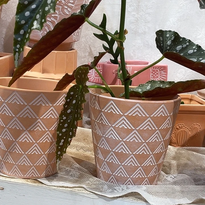 红陶14×14花盆两个