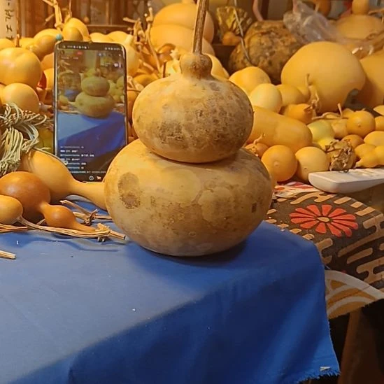 天然葫芦直播间专供