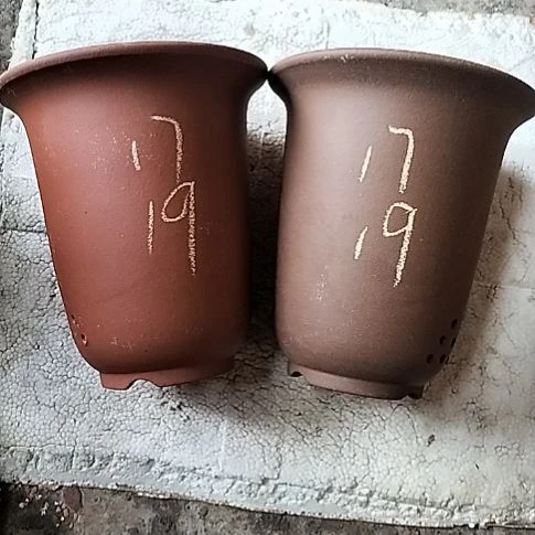 红泥紫泥小金钟两个花盆